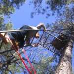 Best Climbing Tree Stand under 200