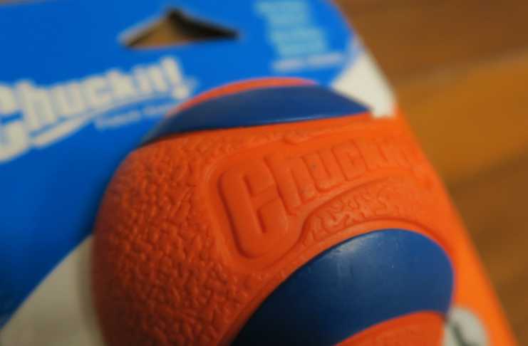best tennis ball for dogs
